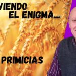 Servicio de Primicias: Descubre Todo lo Que Necesitas Saber Para Estar Siempre al Día