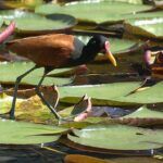 ¿A dónde van los muertos según la biblia?