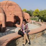 What Does the 5 Senses Say? Discover the Surprising Answers Now!