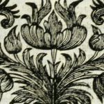 Cuando abrimos los ojos: la historia detrás de 'ellos tenían la tierra y nosotros la biblia'