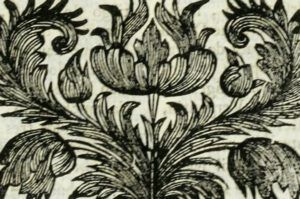 Adorno floral en grabado antiguo con motivos simétricos y textura de papel envejecido, ideal para ilustrar Cuando abrimos los ojos: la historia detrás de 'ellos tenían la tierra y nosotros la biblia'.