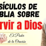 Todo lo que debes saber sobre el servicio en la iglesia según la Biblia