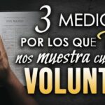 Todo lo que necesitas saber sobre la voluntad de Dios en la Biblia