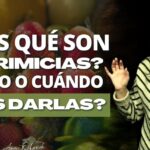 Todo lo que necesitas saber sobre ¿Qué son las primicias?