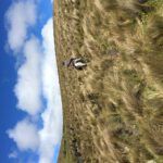 ¿Cuánto tiempo durará la tribulación según la Biblia? Descubre la respuesta aquí