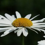 What Does the Bible Really Say About Usury? Find Out Now!