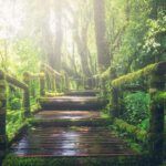 ¿Esconder la verdad? Lo que la Biblia revela sobre ocultar la verdad