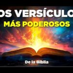 Descubre la Importancia de Leer la Biblia: Versículos que te Inspirarán