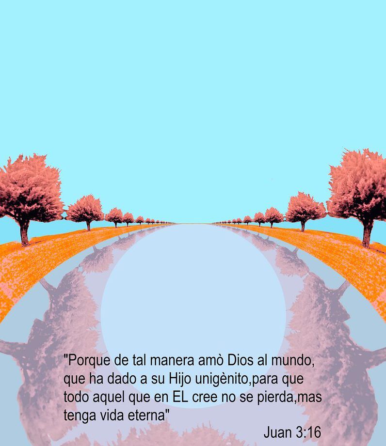 ¿Qué enseña la Biblia sobre la muerte y el más allá? Imagen estilizada con árboles rosados, reflejo en agua y la cita de Juan 3:16 sobre vida eterna.