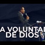 Descubre por qué la voluntad de Dios es perfecta en cada versículo de la Biblia