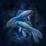 What Does the Bible Really Say About Zodiac Signs? Find Out Now!